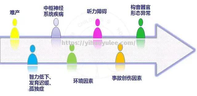 佛罗伦萨球员交流受阻：语言障碍影响团队默契