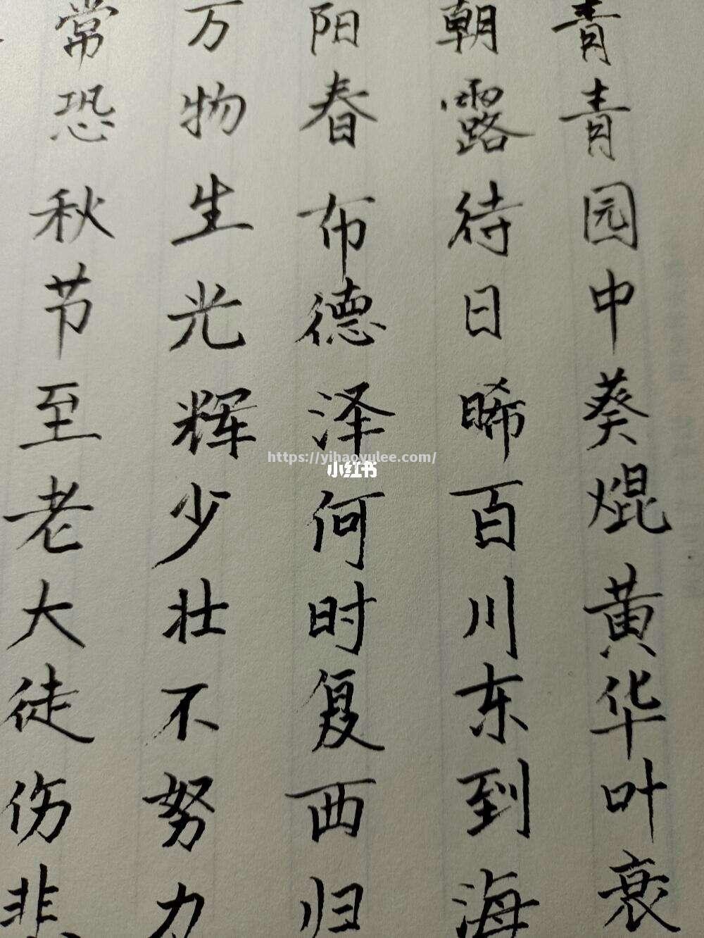 壹号娱乐-帕尔马苦战克服劣势，取得惊喜胜利